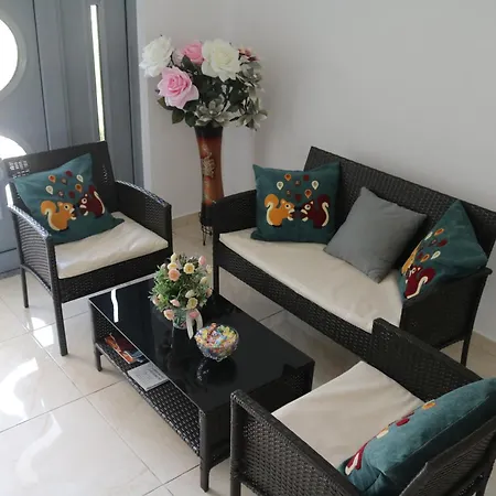 Michaelangelo ニドリ